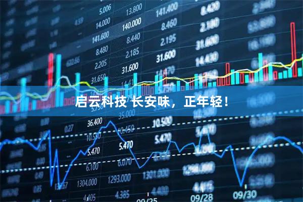 启云科技 长安味，正年轻！