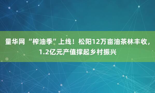 量华网 “榨油季”上线！松阳12万亩油茶林丰收，1.2亿元产值撑起乡村振兴