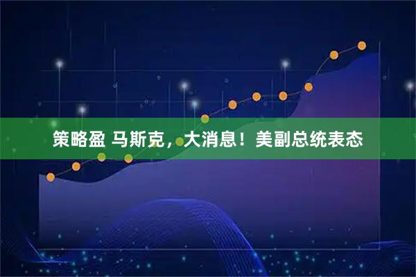 策略盈 马斯克，大消息！美副总统表态