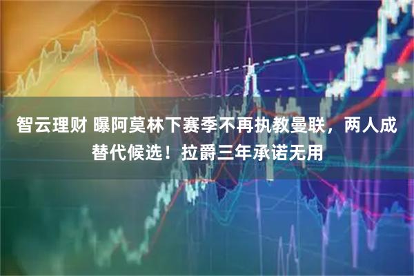 智云理财 曝阿莫林下赛季不再执教曼联，两人成替代候选！拉爵三年承诺无用